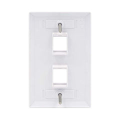 2 Port QuickPort outlet Wall Plate face plate, two Gang White